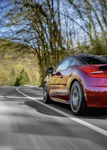 Traffic fines and subsequent driving ban are not double punishment