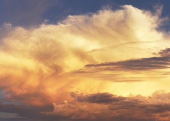 The European climate case may be the trial of the decade