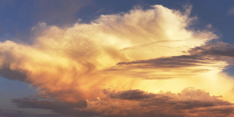 The European climate case may be the trial of the decade